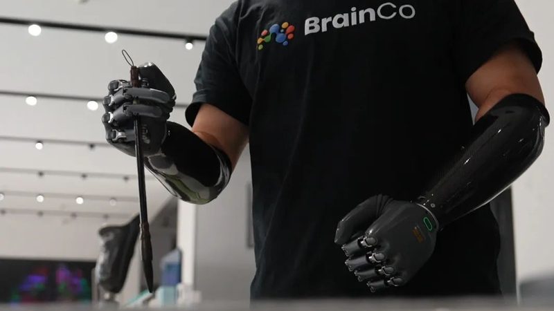 构建数据治理基石：案例库使用指南详解**